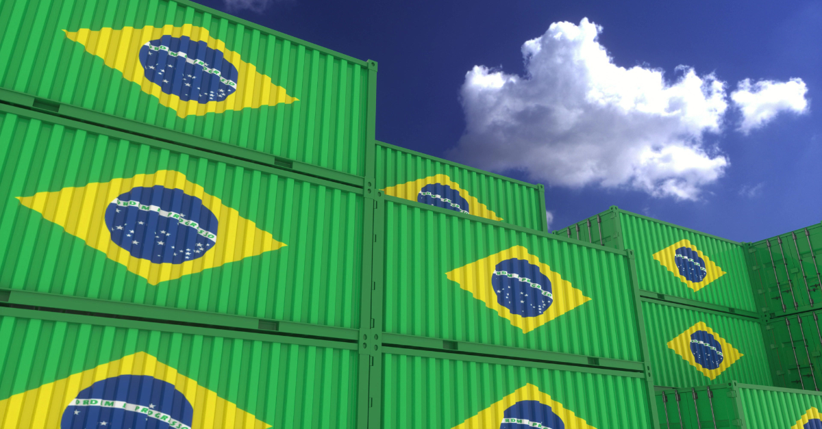 Overcoming Import Challenges: Insights from a Brazilian Customs Expert